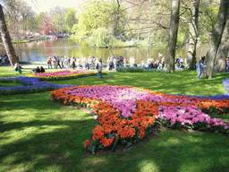 Flowers in many colours in a grassland and the central lake of the Keukenhof park