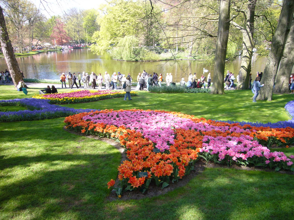 Flowers in many colours in a grassland and the central lake of the Keukenhof park