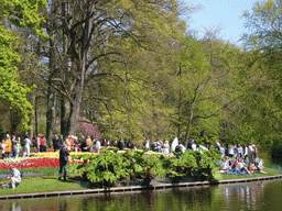 Red, white and yellow flowers at the bank of the central lake of the Keukenhof park