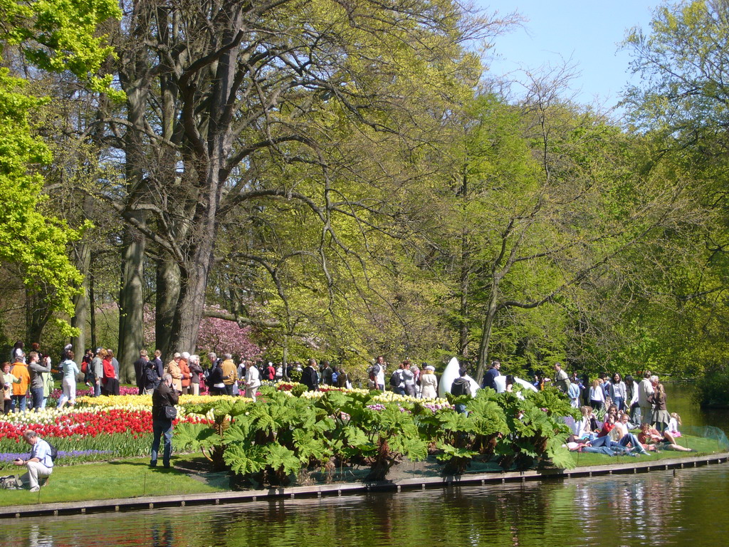 Red, white and yellow flowers at the bank of the central lake of the Keukenhof park