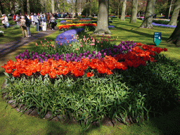 Flowers in many colours in a grassland near the central lake of the Keukenhof park