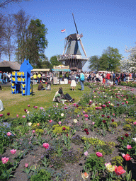 Grassland with flowers and a windmill at the northeast side of the Keukenhof park