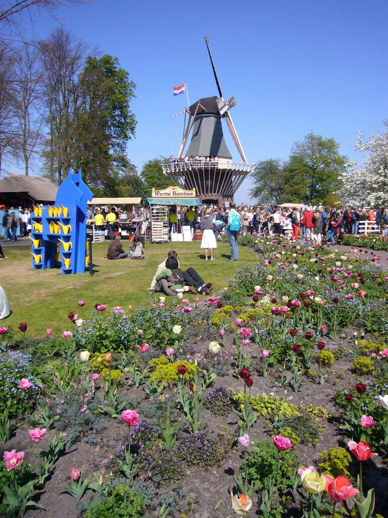 Grassland with flowers and a windmill at the northeast side of the Keukenhof park