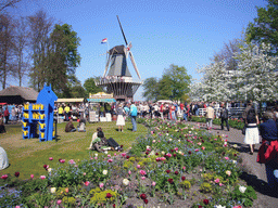 Grassland with flowers and a windmill at the northeast side of the Keukenhof park