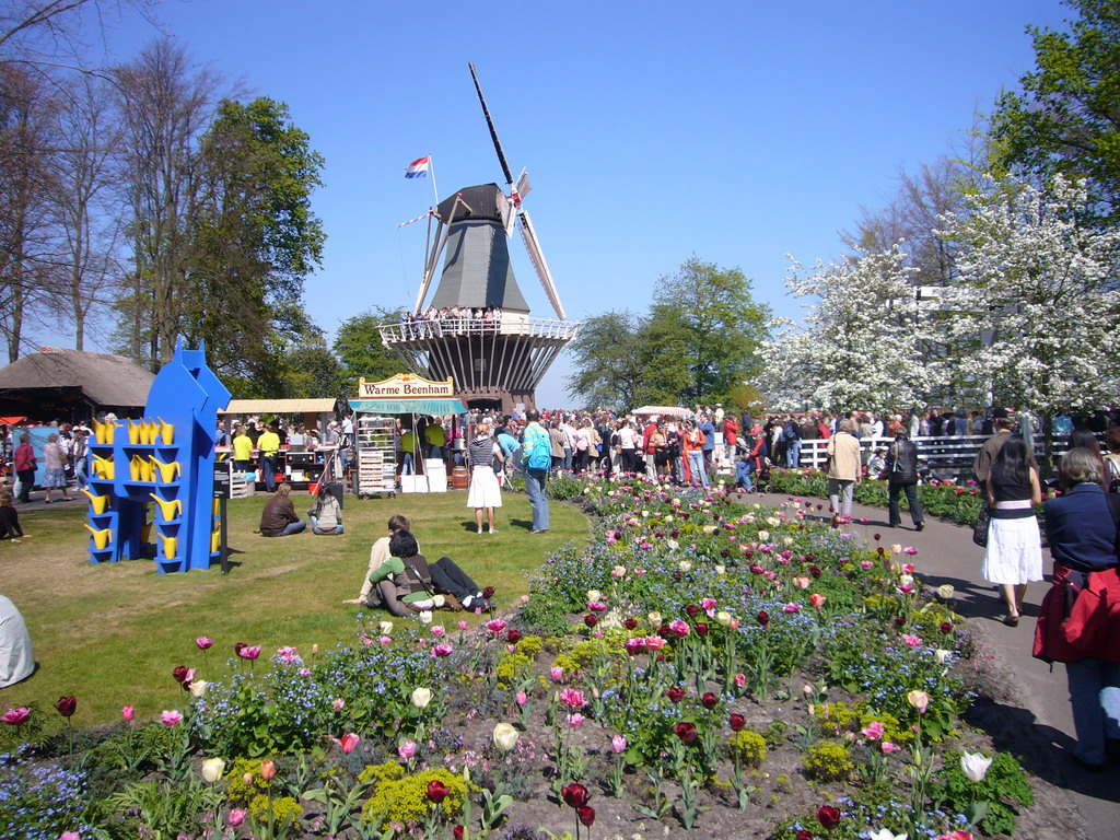 Grassland with flowers and a windmill at the northeast side of the Keukenhof park