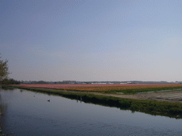 Canal and flower fields near Lisse