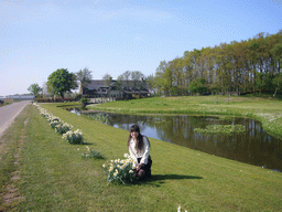 Chinese friend with white flowers along the road to the flower fields near Lisse