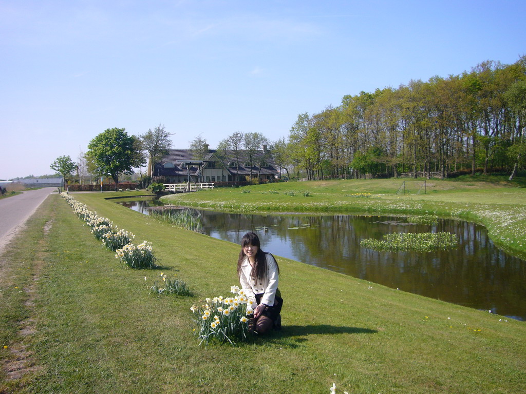 Chinese friend with white flowers along the road to the flower fields near Lisse