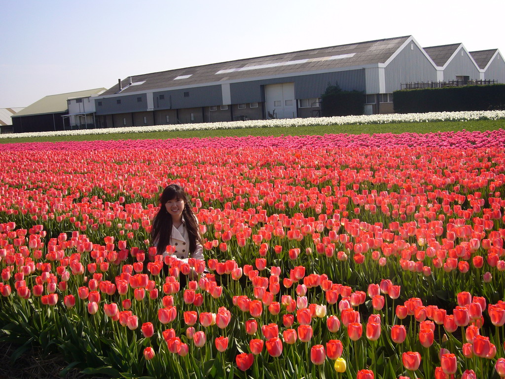 Chinese friend in a field with red tulips near Lisse