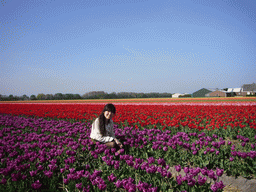 Chinese friend in a field with purple, red, pink and orange tulips near Lisse