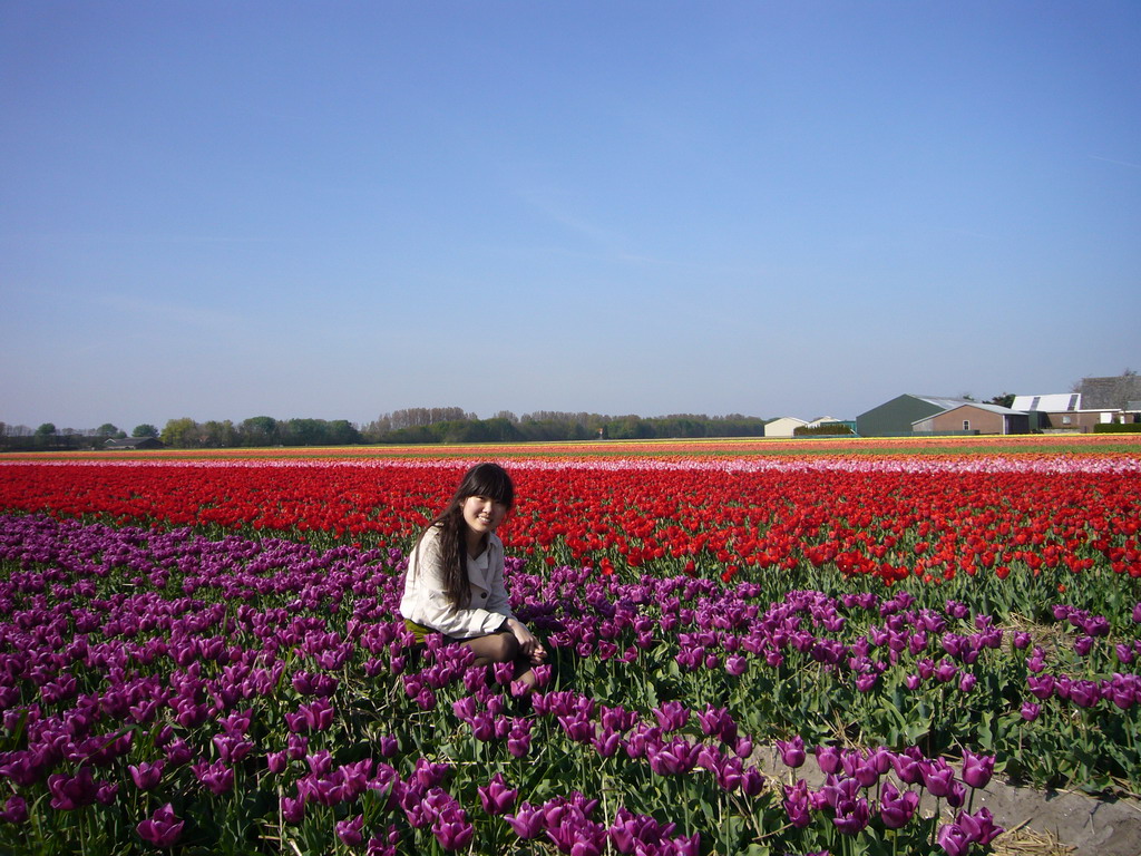 Chinese friend in a field with purple, red, pink and orange tulips near Lisse