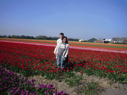 Tim and Miaomiao in a field with purple, red, pink and orange tulips near Lisse