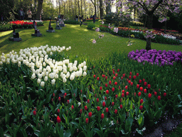 Flowers in many colours and small statues in a grassland near the central lake of the Keukenhof park