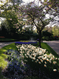 Flowers in many colours and a fountain in a grassland near the central lake of the Keukenhof park