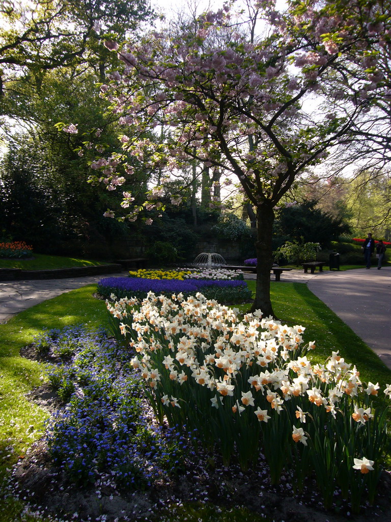 Flowers in many colours and a fountain in a grassland near the central lake of the Keukenhof park