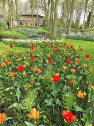 Flowers, grassland and a stream near the Juliana pavilion at the Keukenhof park