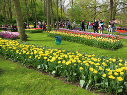 Flowers, grassland and the central lake at the Keukenhof park