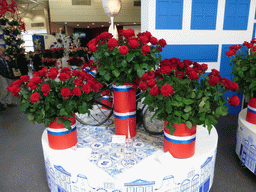 Red roses in the Oranje Nassau pavilion at the Keukenhof park