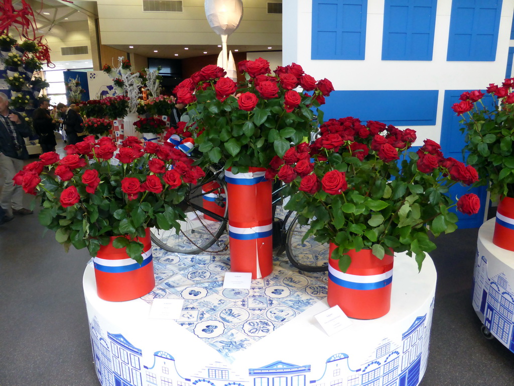 Red roses in the Oranje Nassau pavilion at the Keukenhof park