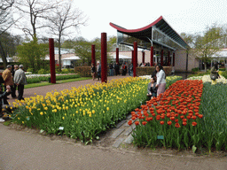 Red and yellow tulips in front of the Willem-Alexander pavilion at the Keukenhof park