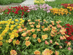 Red, pink and yellow tulips and other flowers in the Willem-Alexander pavilion at the Keukenhof park