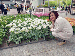 Miaomiao with `China Town` tulips in the Willem-Alexander pavilion at the Keukenhof park