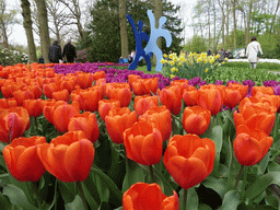 Miaomiao, red and purple tulips, other flowers and a piece of art in a grassland near the central lake at the Keukenhof park