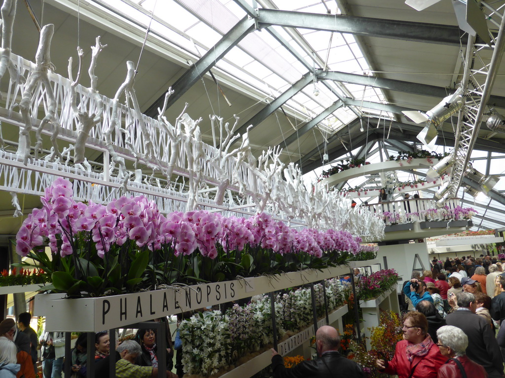 Interior of the south side of the Beatrix pavilion at the Keukenhof park