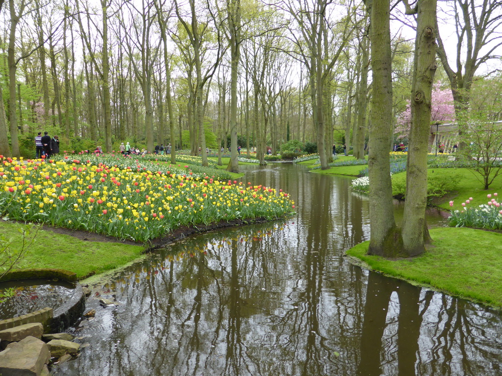 Red and yellow tulips in a grassland and a stream near the central lake at the Keukenhof park