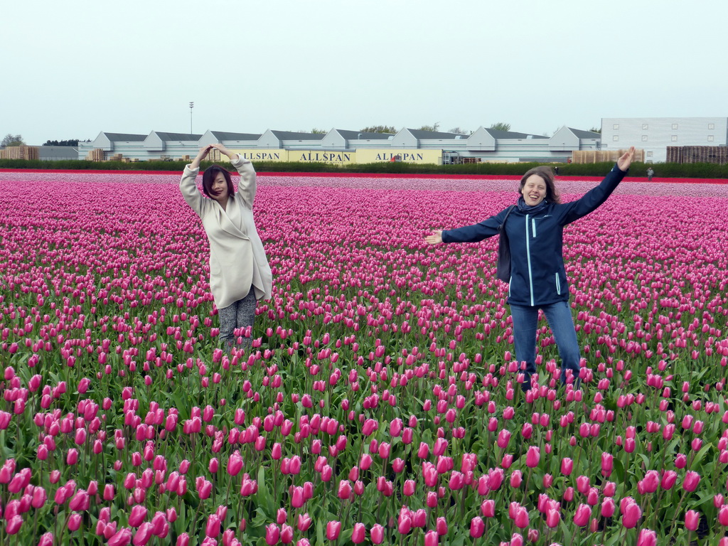 Miaomiao and Lea in a field with purple tulips near the Heereweg street at Lisse