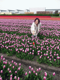 Miaomiao pointing at a red tulip in a field with purple and red tulips near the Heereweg street at Lisse