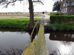 Miaomiao on a wooden bridge from one flower field to another near the Heereweg street at Lisse