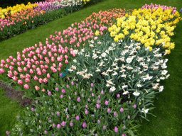 Pink, red, purple, white and yellow flowers near the northwest entrance of the Keukenhof park