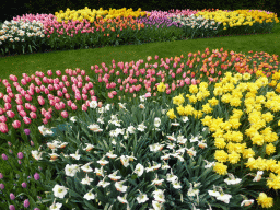 Pink, red, purple, white and yellow flowers near the northwest entrance of the Keukenhof park