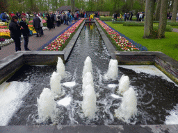 Fountain with flowers north of the central lake at the Keukenhof park