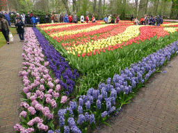 Red and yellow tulips and other flowers north of the central lake at the Keukenhof park