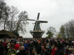 Windmill at the Keukenhof park