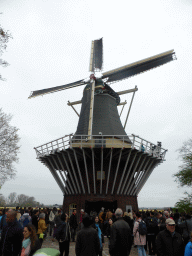 Windmill at the Keukenhof park