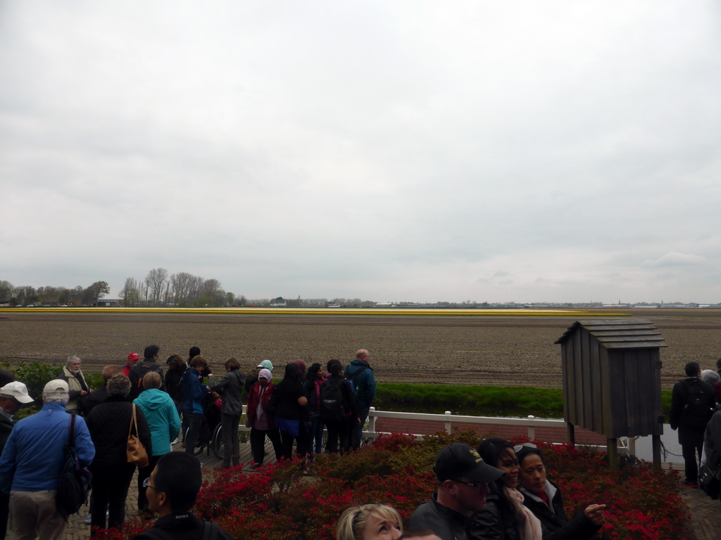 The Lisserbeek canal and flower fields to the northeast side of the Keukenhof park, viewed from the viewing point behind the windmill