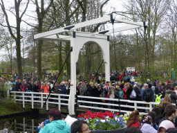 Bridge near the windmill at the Keukenhof park