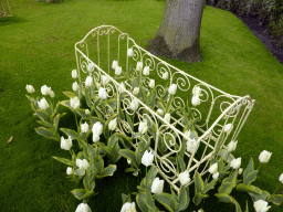 White tulips at the Inspiration Gardens at the Keukenhof park