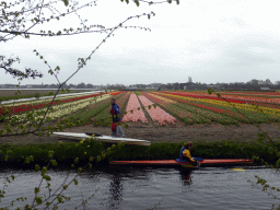 Canoes and flower fields to the northeast side of the Keukenhof park, viewed from the viewing point near the Inspiration Gardens