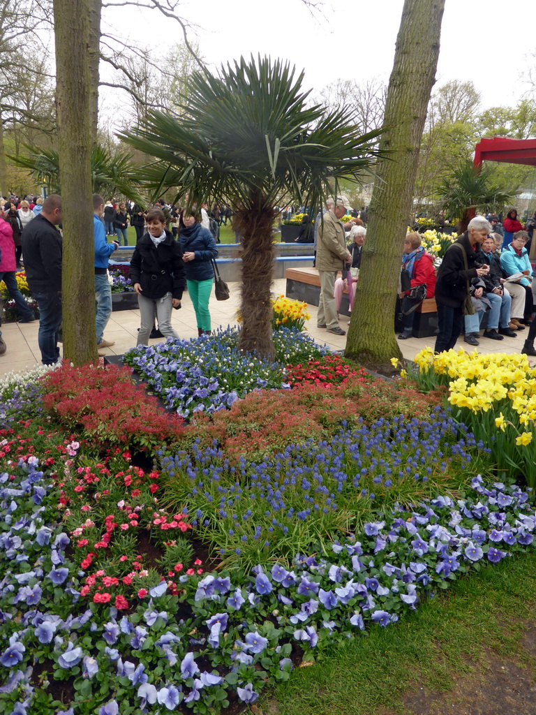 Flowers near the Oranje Nassau pavilion at the Keukenhof park