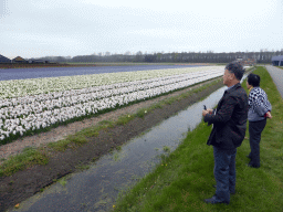 Miaomiao`s parents with white and blue flowers at flower fields at the north side of the Zilkerbinnenweg street at the village of De Zilk