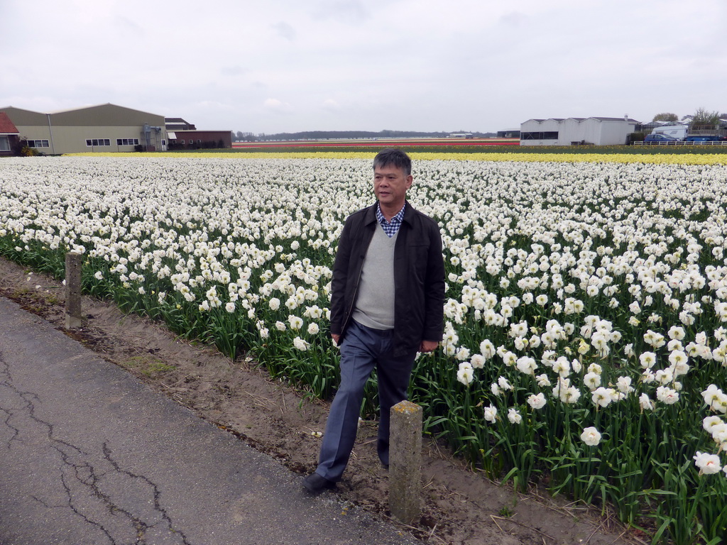 Miaomiao`s father with white, yellow and red flowers at flower fields at the south side of the Zilkerbinnenweg street at the village of De Zilk