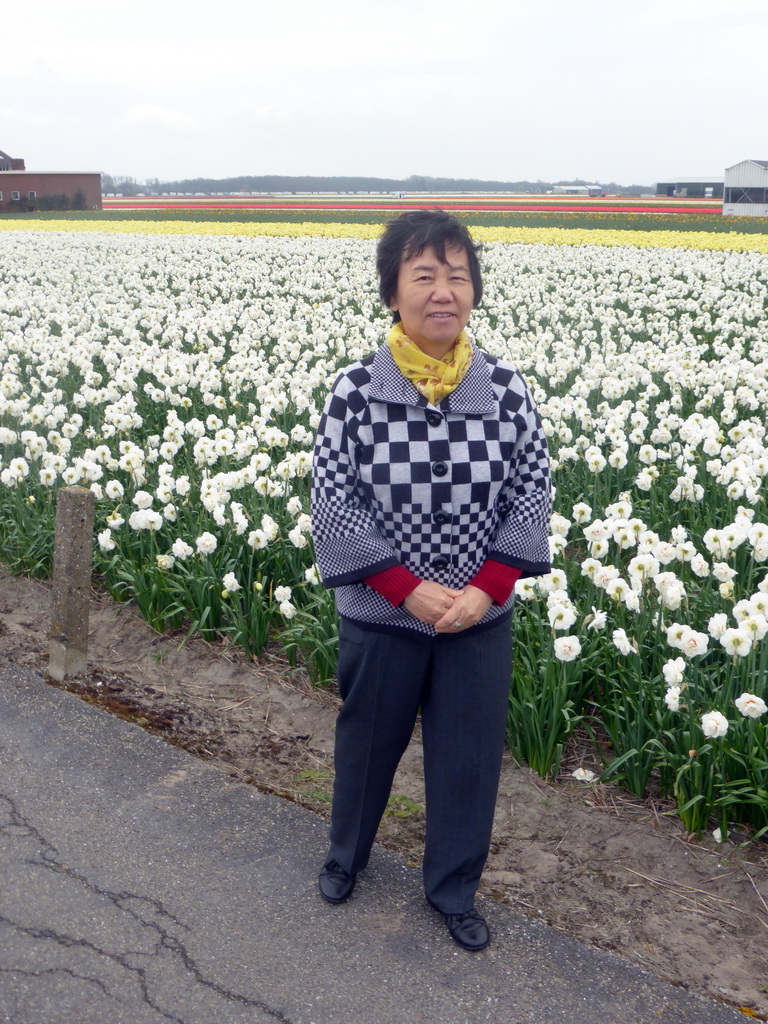 Miaomiao`s mother with white, yellow and red flowers at flower fields at the south side of the Zilkerbinnenweg street at the village of De Zilk