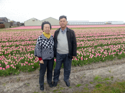 Miaomiao`s parents with pink flowers at flower fields at the south side of the Zilkerbinnenweg street at the village of De Zilk