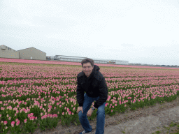 Tim with pink flowers at flower fields at the south side of the Zilkerbinnenweg street at the village of De Zilk