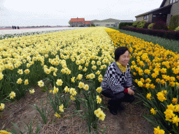 Miaomiao`s mother with yellow, white and pink flowers at flower fields at the south side of the Zilkerbinnenweg street at the village of De Zilk