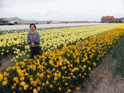 Miaomiao`s mother with yellow, white and pink flowers at flower fields at the south side of the Zilkerbinnenweg street at the village of De Zilk